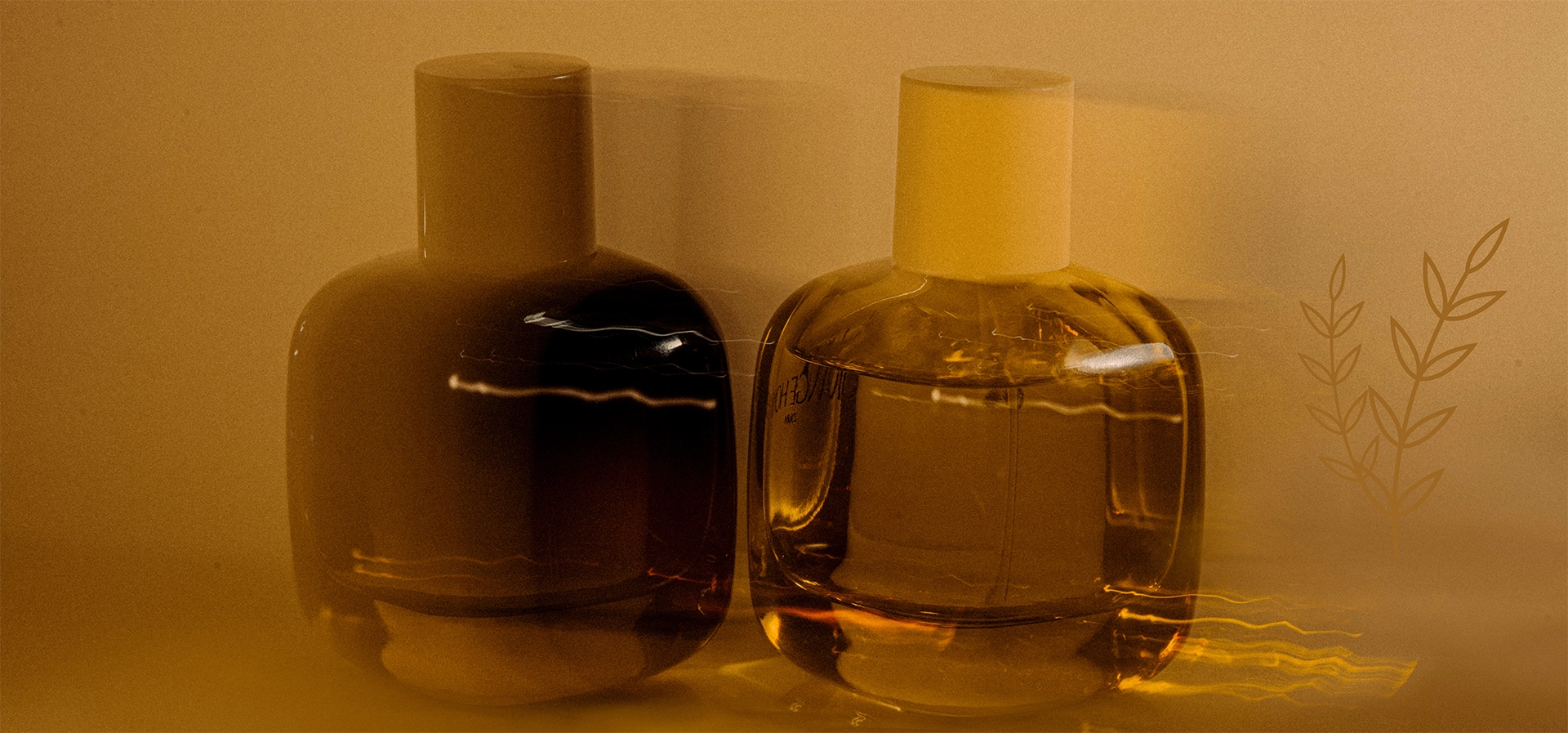 Beauty & Health Industry